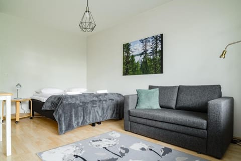 Bed, Living room, Photo of the whole room, Seating area