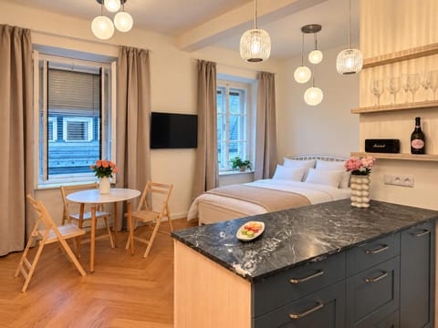 Bed, TV and multimedia, Kitchen or kitchenette, Living room, Photo of the whole room, Seating area, Dining area, Bedroom