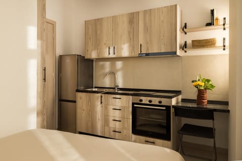 Kitchen or kitchenette, oven, pet friendly