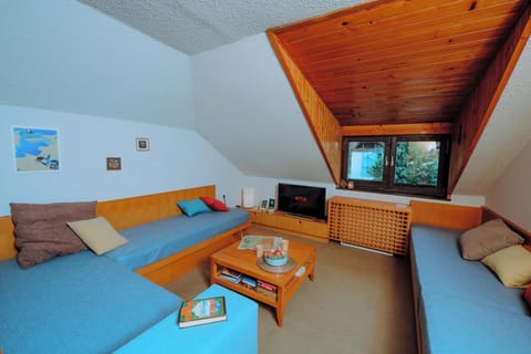 Living room, Photo of the whole room