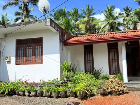 Property building, Spring, Day, Garden, Garden view