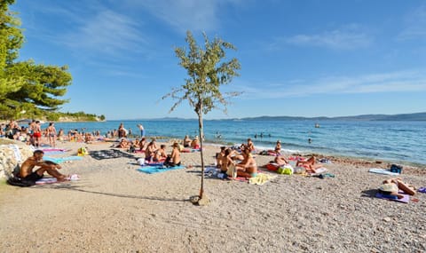 Apartman Olive Garden Apartment in Zadar