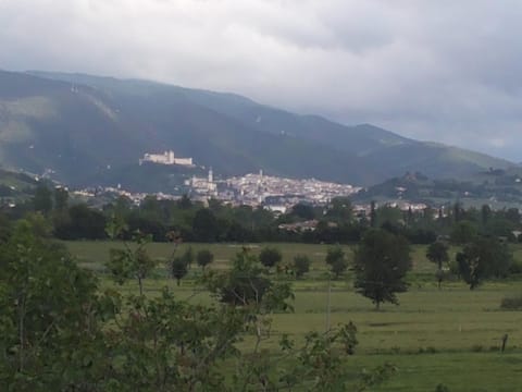 City view, Landmark view