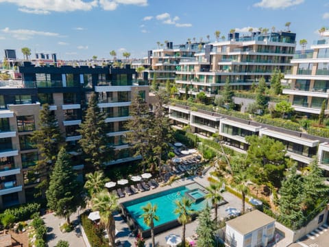 Property building, Street view, Swimming pool, sunbed