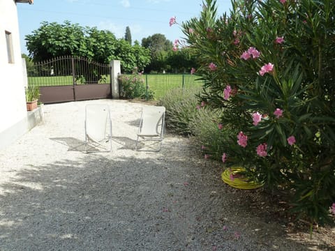 View (from property/room), Garden view