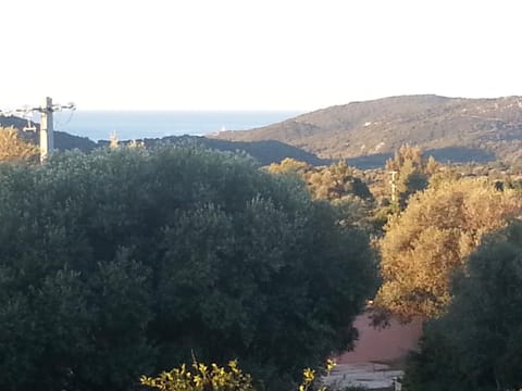 Sea view