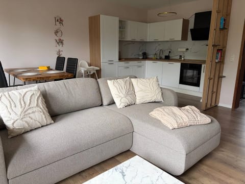 Living room, Seating area, Dining area, stove