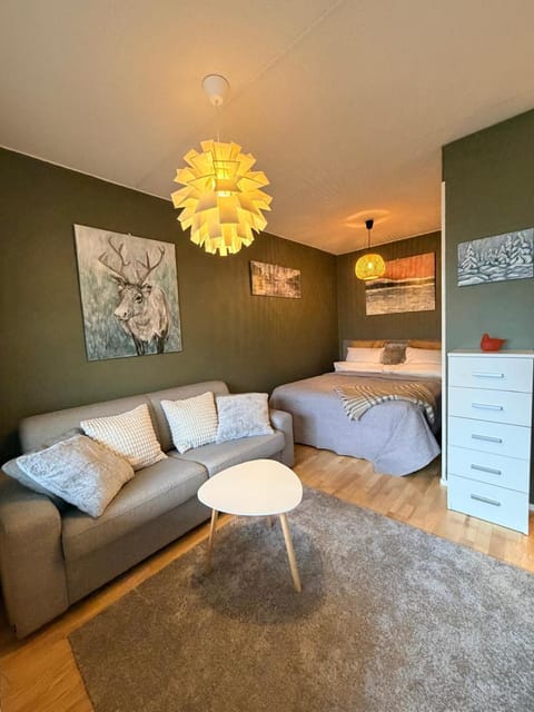 Bed, Living room, Photo of the whole room, Seating area, Bedroom