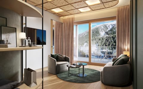 TV and multimedia, Seating area, Mountain view