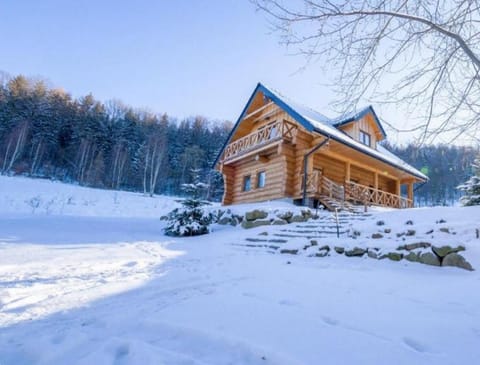 Property building, Day, Winter
