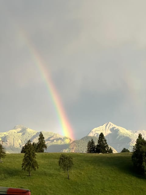 Casa del Cirmolo - apartments for rent Country House in Trentino-South Tyrol