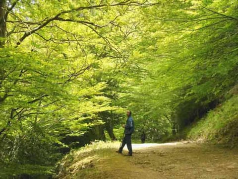 Spring, Other