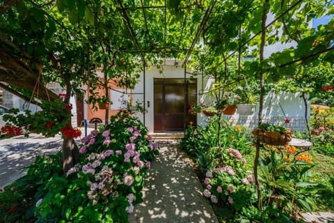 Property building, Facade/entrance, Garden