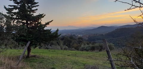 Natural landscape, Other