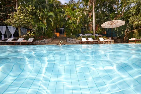 Day, Swimming pool, sunbed