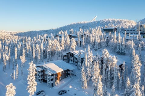 Property building, Nearby landmark, Natural landscape, Winter, Mountain view