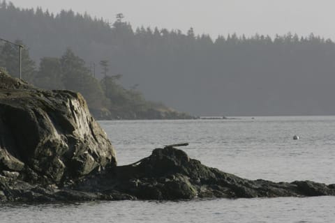 La Conner Camping Resort Cabin 7 Cabin in Whidbey Island