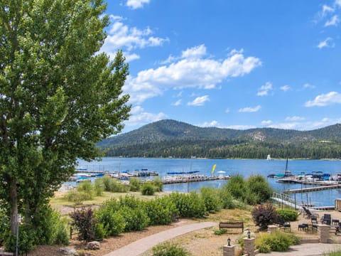 Lake view