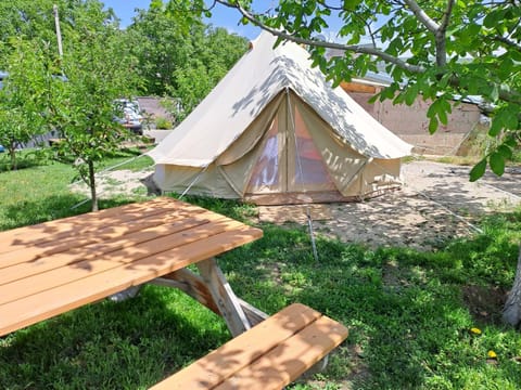 Natural landscape, Garden, Location