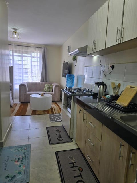 Kitchen or kitchenette, Living room, Seating area, Dining area, oven, stove, toaster