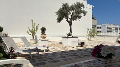 Day, Balcony/Terrace, Dining area, sunbed