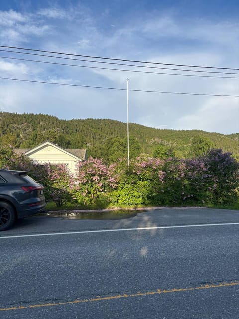 Property view