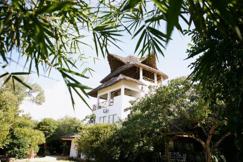 Property building, Garden view