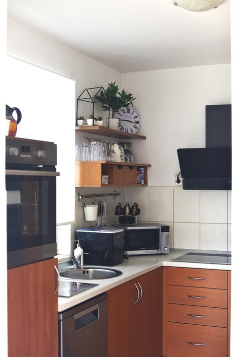 Kitchen or kitchenette, dishwasher, stove