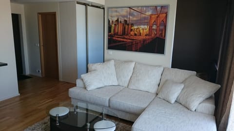 Living room, Photo of the whole room