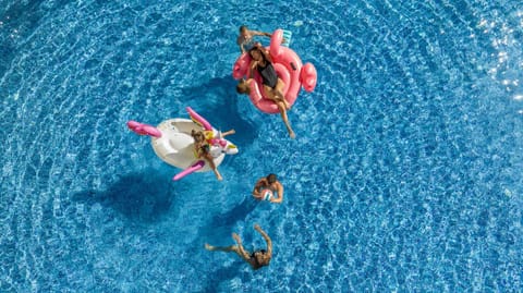 Day, Activities, Pool view, Sea view, Swimming pool, group of guests