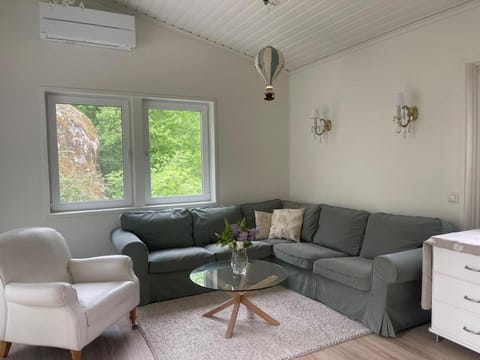 Living room, Seating area, air conditioner