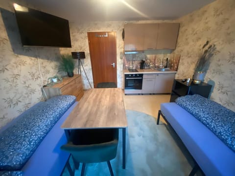 Bed, TV and multimedia, Kitchen or kitchenette, Photo of the whole room, Seating area, Dining area, Bedroom, oven, stove