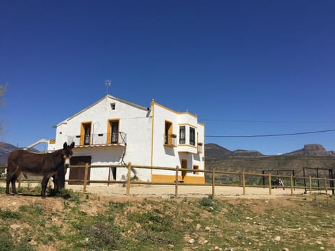 Property building, pet friendly