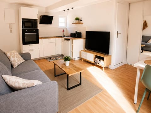 Kitchen or kitchenette, Living room, oven, pet friendly, stove