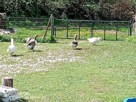 Ferienwohnung Cillien Apartment in Rhineland-Palatinate