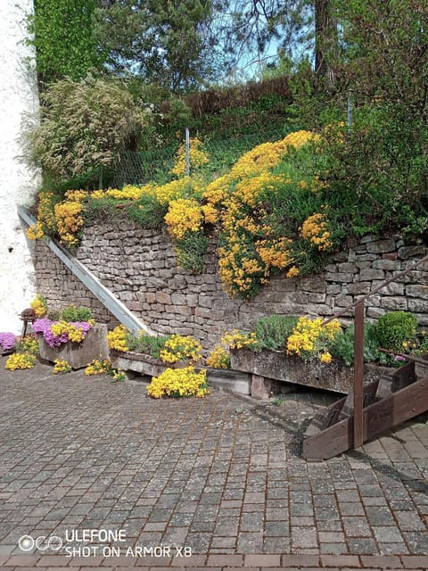 Ferienwohnung Cillien Apartment in Rhineland-Palatinate