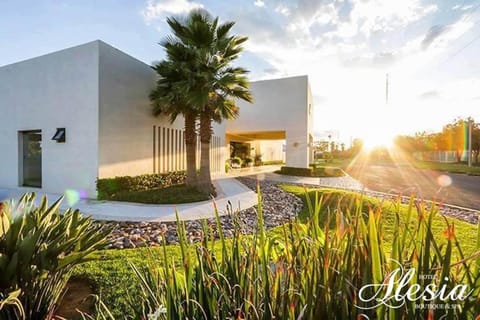 Property building, Spring, Day, Natural landscape, Garden, Garden view, Street view