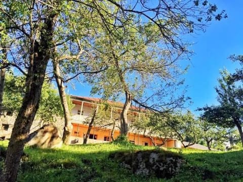 Property building, Summer, Garden
