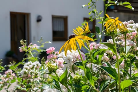 Ferienwohnung Vergissmeinnicht Apartment in Ortenau