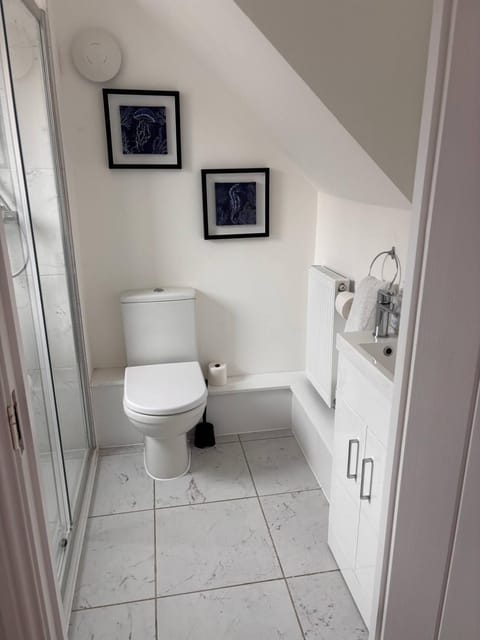 Toilet, Bathroom, Decorative detail