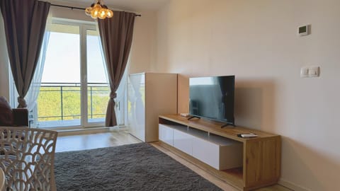 Communal lounge/ TV room, TV and multimedia