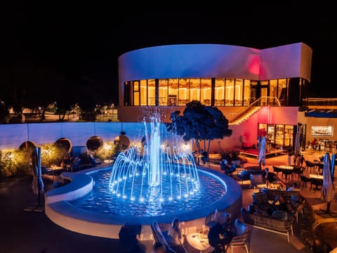 Restaurant/places to eat, Night, group of guests