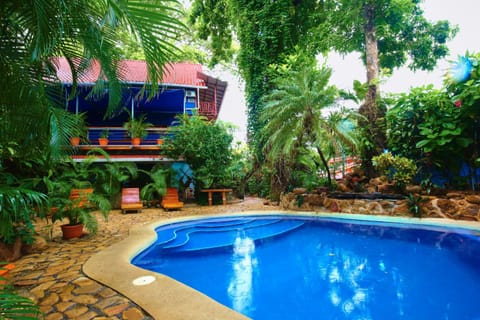 Day, Garden, Garden view, Pool view, Swimming pool