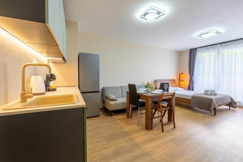 Bed, Kitchen or kitchenette, Living room, Dining area