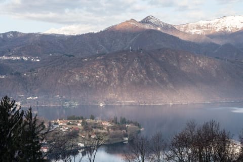 Lake view