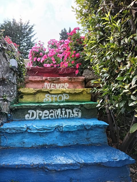 Podere Palazzolo (ADULTS ONLY) Country House in Castellina in Chianti