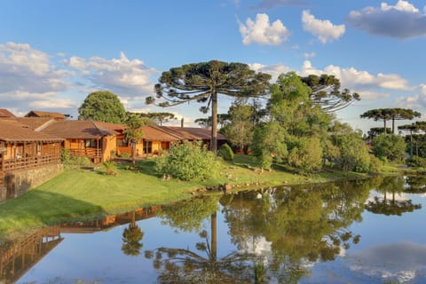 Bird's eye view, Garden, Lake view