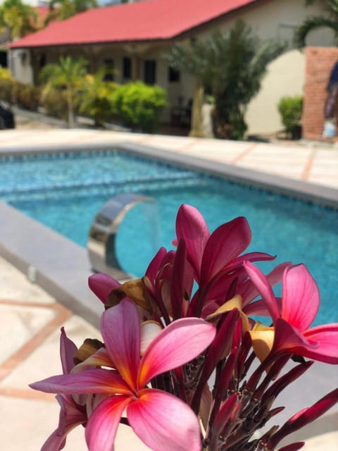 Pool view, Area and facilities, Swimming pool