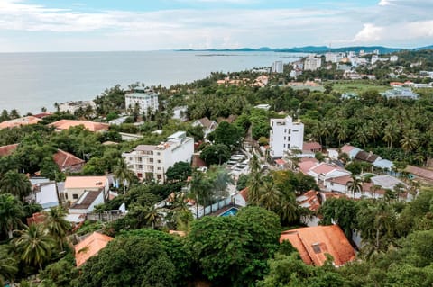 Day, Neighbourhood, Bird's eye view