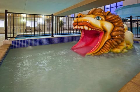 Swimming pool, Swimming pool